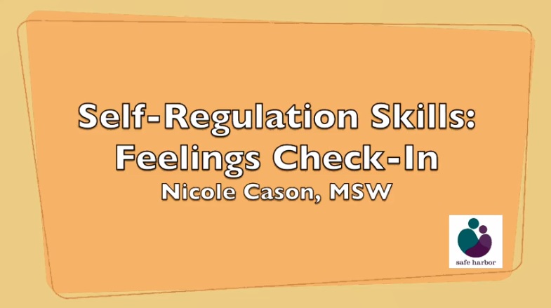 Self-Regulation Skills - Feelings Check-in